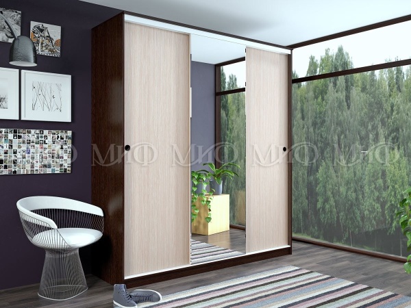 Шкаф-Купе Альянс (Ш-1000/1500/2000 х Г-600 х В-2200 мм)/Разные Цвета